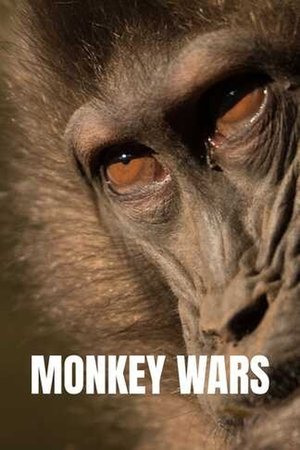 Monkey Wars