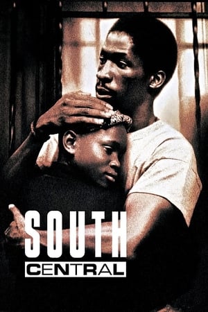 South Central poster