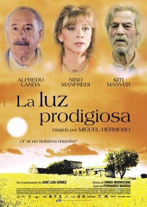 Poster La luz prodigiosa 2003