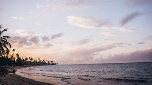 Puerto Rico: Food Sovereignty