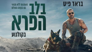 Images posters