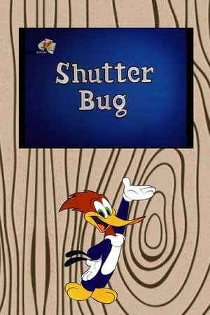 Poster Shutter Bug 1963