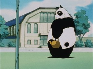 Ranma ½: 1×13