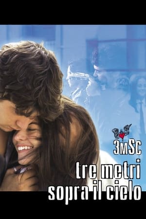 Poster Tre metri sopra il cielo 2004