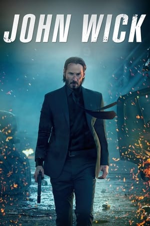 Poster John Wick 2014