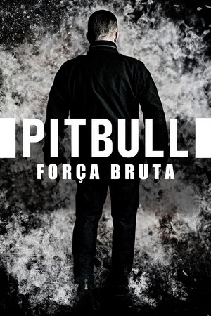 Image Pitbull