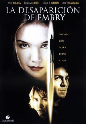 Poster La desaparición de Embry 2002