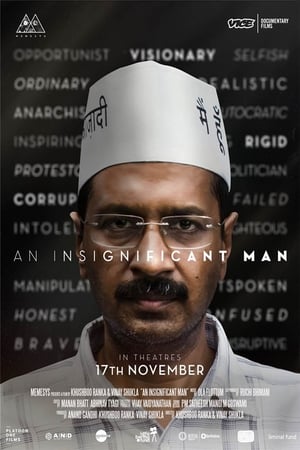 Poster An Insignificant Man 2016