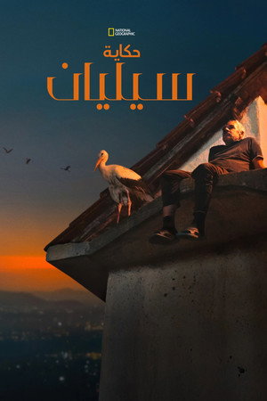 حكاية سيليان