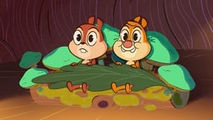 Chip és Dale – Élet a parkban 1. évad 4. rész