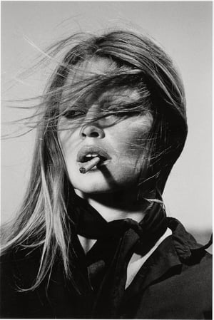 Image Brigitte Bardot, die Unbezähmbare