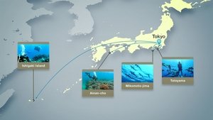 Journeys in Japan: 12×12