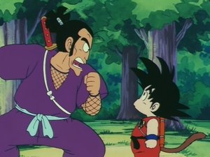 Next episode Dragon Ball 2x5 Now you watch episode Ninja Murasaki is Coming! - Dragon Ball