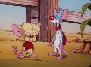 Pinky & der Brain: 3×38