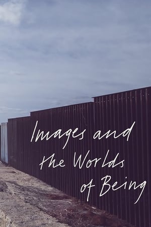 Image Images and the Worlds of Being