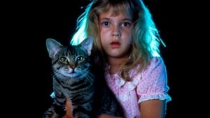 L’occhio del gatto (1985)