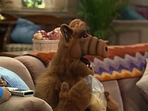 ALF Lookin' Through the Windows