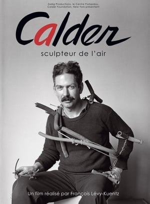 Poster Calder, sculpteur de l'air 2009