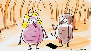 Wer nicht fragt, stirbt dumm!: 1×26