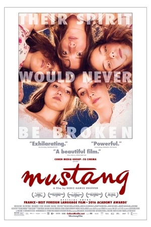 Click for trailer, plot details and rating of Mustang (2015)