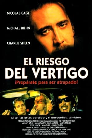 Poster El riesgo del vértigo 1993