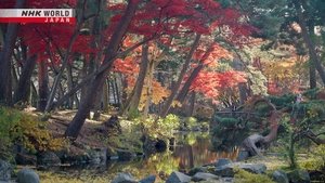 Journeys in Japan: 15×1