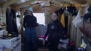 Bering Sea Gold: Season 5 Episode 3