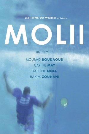 Poster Molii (2013)