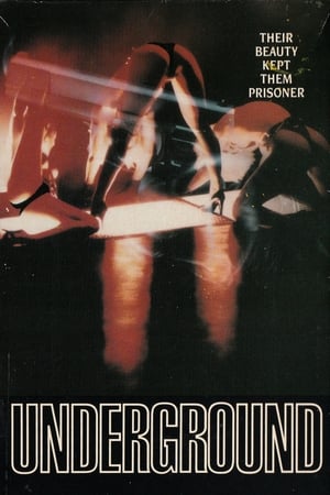 Poster Underground (1991)