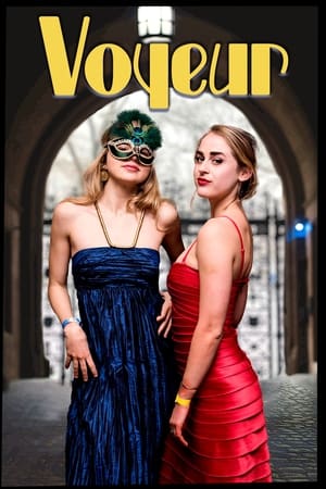 Poster Voyeur (2019)