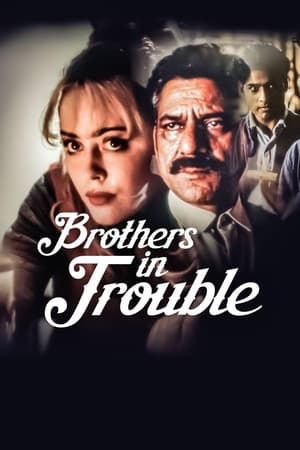 Poster Brothers in Trouble 1995