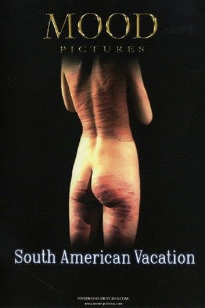 South American Vacation