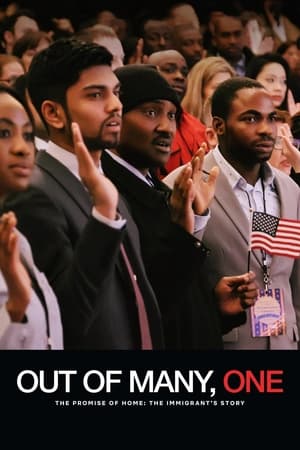 Poster 미국 시민권 프로젝트 2018