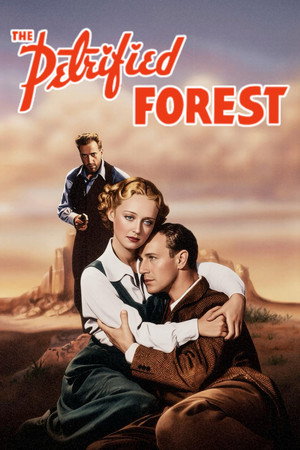 The Petrified Forest