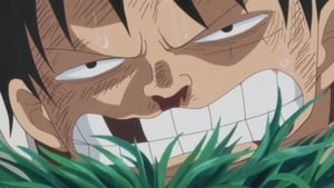 S19E811 Je ne bougerai pas. Luffy contre les troupes de la colère !