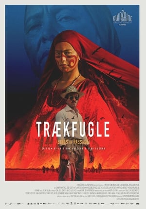 Poster Trækfugle 2018