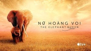 Nữ Hoàng Voi