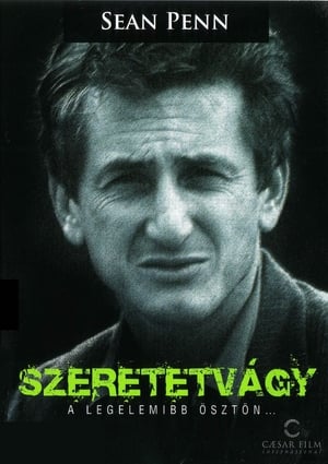 Poster Szeretetvágy 1997