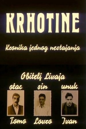 Poster Krhotine 1991