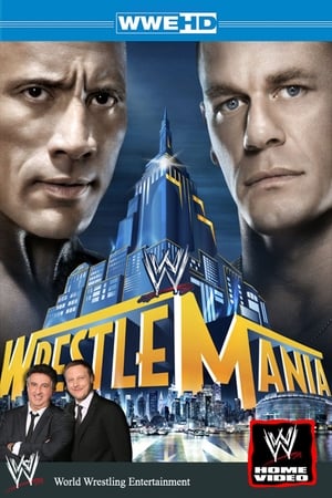Poster WWE WrestleMania 29 2013