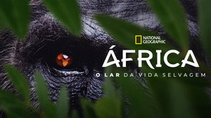 África: O Lar da Vida Selvagem (2026)