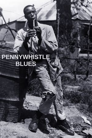 Image The Pennywhistle Blues