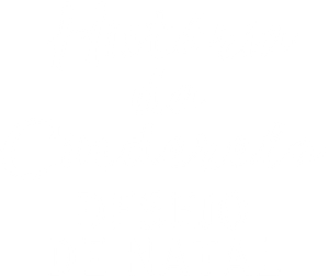 A Nova Cinderela: Milagre de Natal