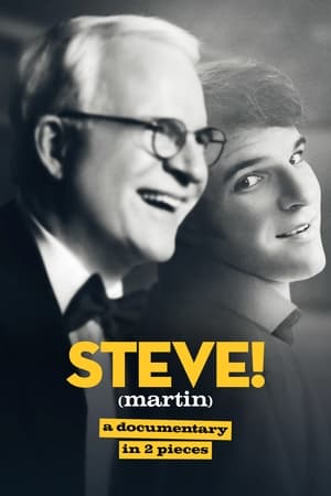 STEVE! (martin) a documentary in 2 pieces