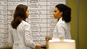 Grey’s Anatomy 13 x Episodio 22