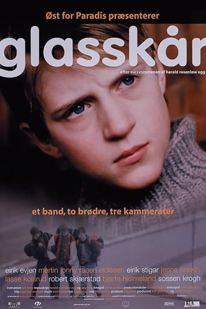 Image Glasskår