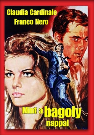 Poster Mint a bagoly nappal 1968