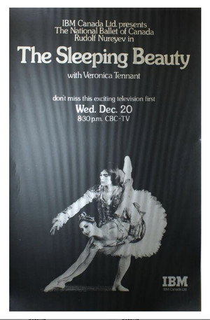 The Sleeping Beauty 4