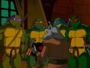 Teenage Mutant Ninja Turtles: 1×6