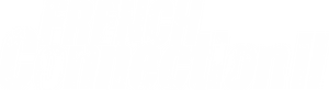 French Connection II